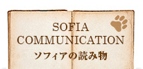 SOFIA COMMUNICATON